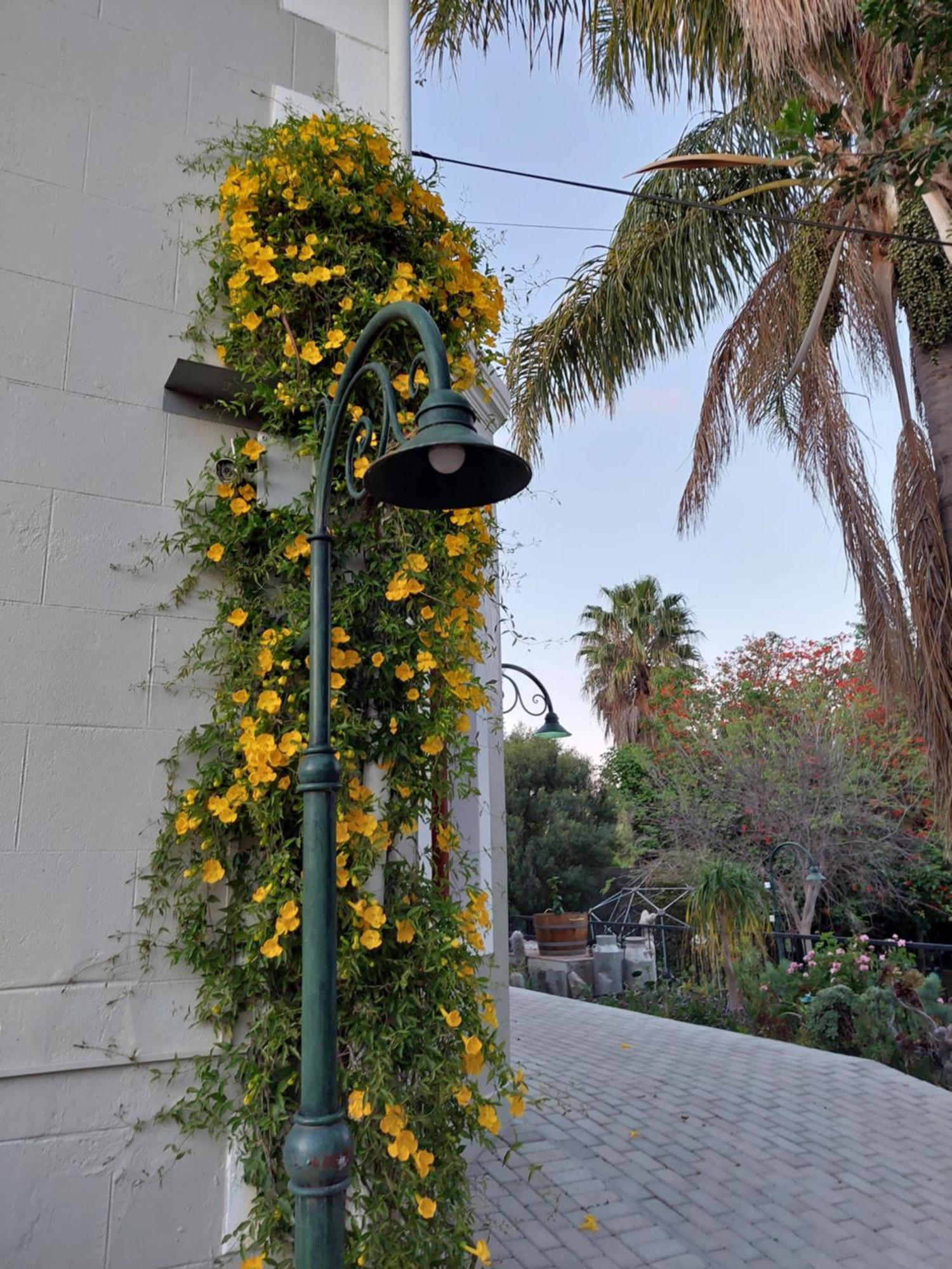 Haus Mueller Hotel Clanwilliam Kültér fotó